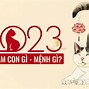 Con Gái Tuổi Quý Mão 2023 Hợp Màu Gì