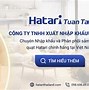 Quạt Cây Nhập Khẩu Thái Lan