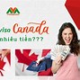 Xklđ Canada 2022 Là Visa Gì Ở Mỹ Về Việt Nam